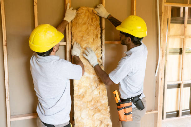 Best Insulation for New Construction in USA